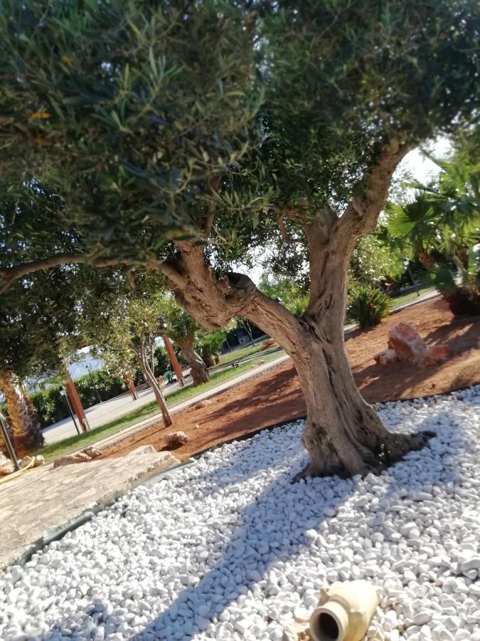 Il Corallo San Vito Lo Capo Zewnętrze zdjęcie